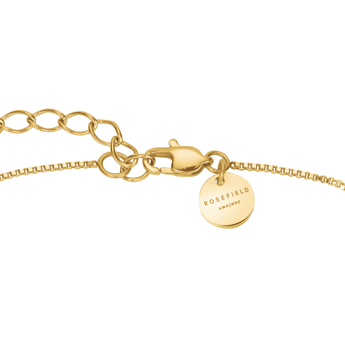 Rosefield Heart Amulet Necklace Gold - JNHAG-J1269