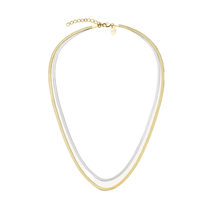Rosefield Snake Duo Tone Set (Necklace + Bracelet)